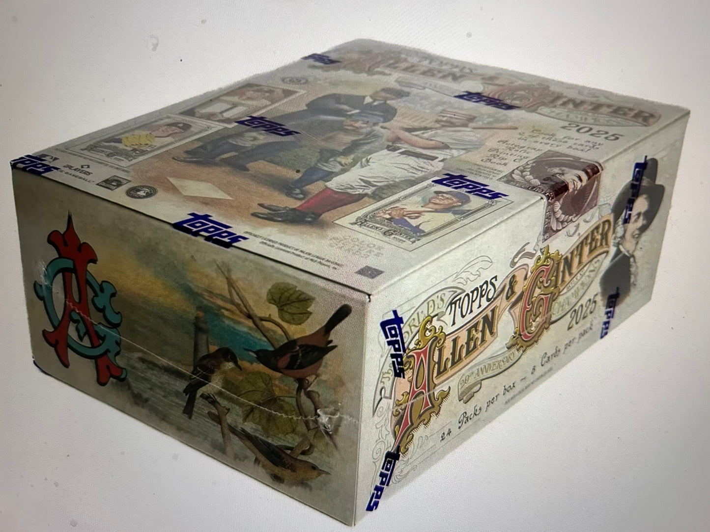 2025 Topps Allen & Ginter Baseball Hobby Box